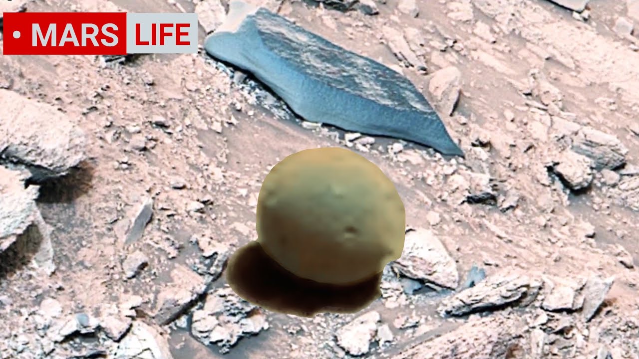 NASA Mars Rover Sent Most Incredible Footage of Mars Life? Perseverance and Curiosity rover 4K Mars