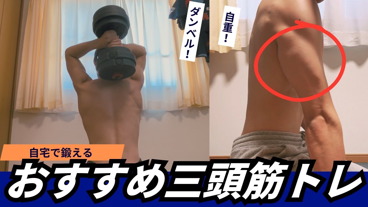【5分】自宅で鍛えるおすすめ三頭筋トレ！【ダンベル、自重】