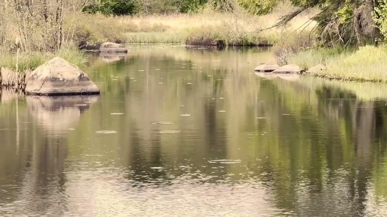 Vulgatans Sång - I väntan på vak.