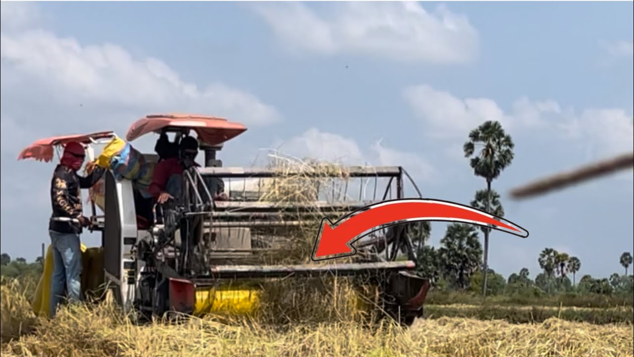 There is a problem when harvesting rice Straw stuck to the front of the harvester#moni 