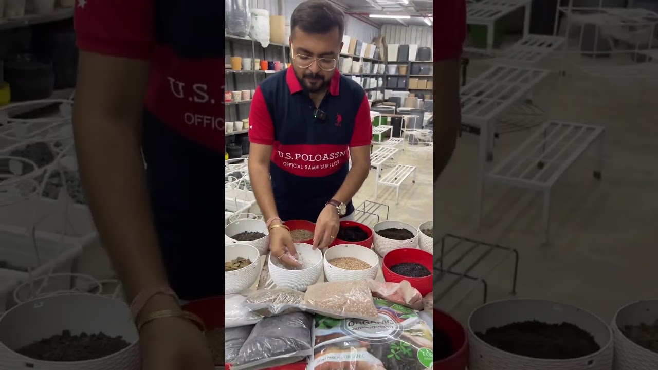 How to Use Perlite or Vermiculite for Better Plant Roots