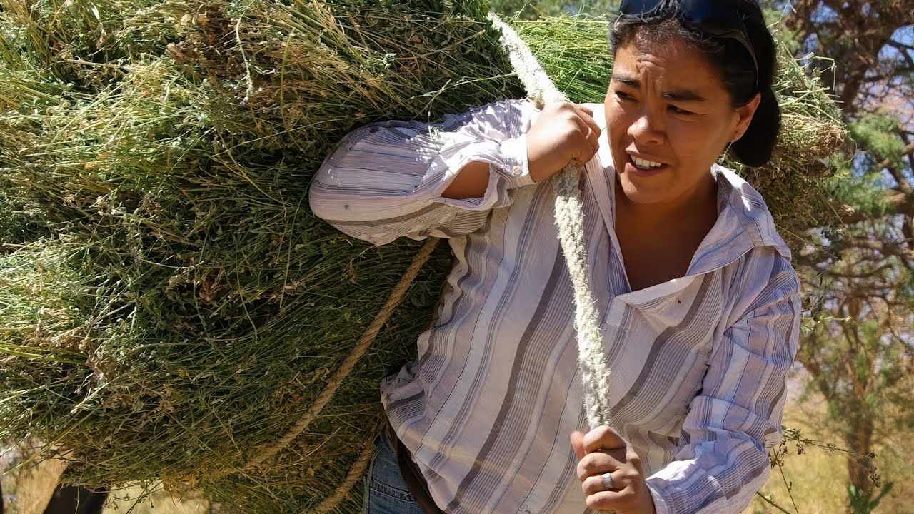 Atacameño HD