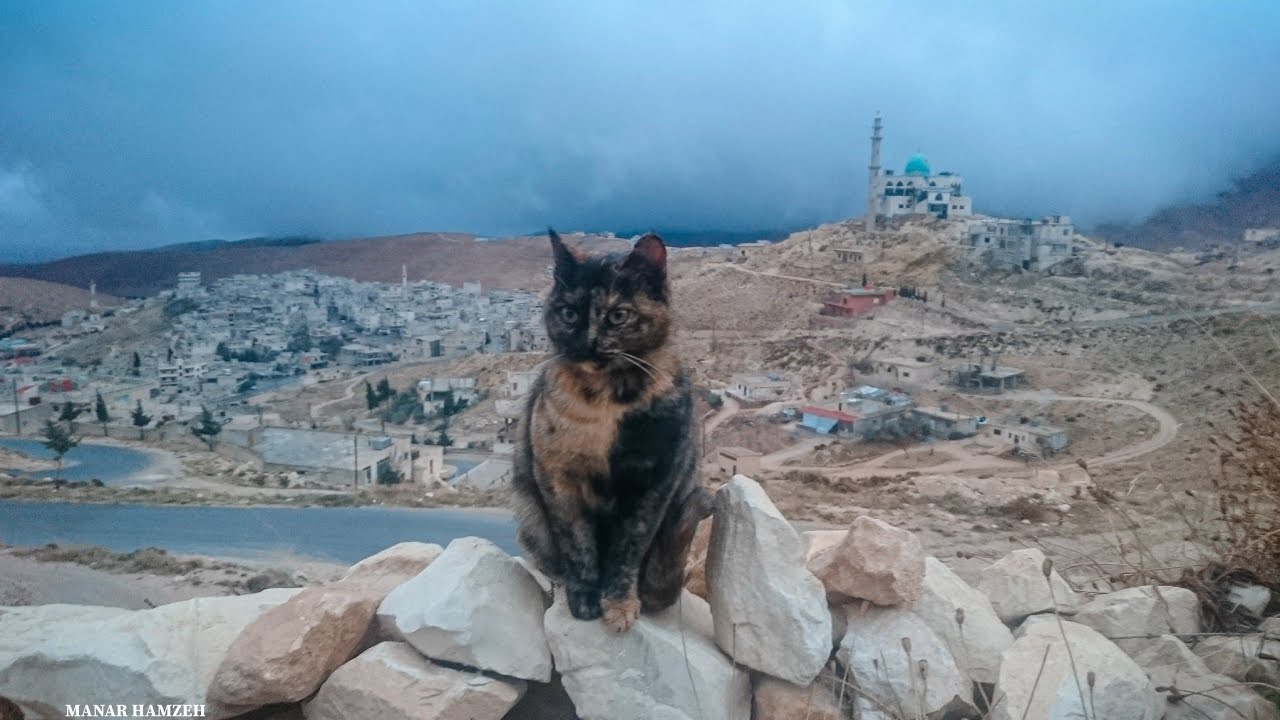 رنكوس 25/12/2019