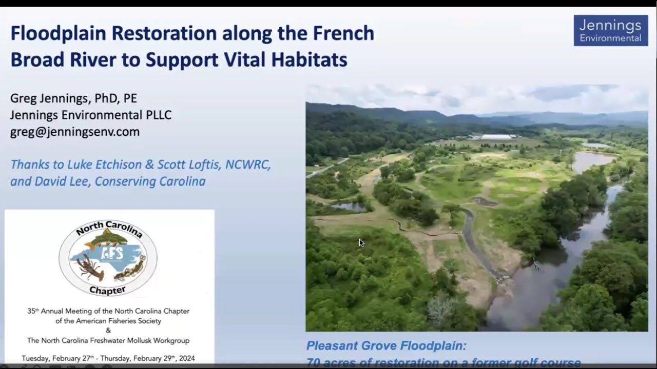 Floodplain Restoration along the French Broad River to Support Vital Habitats