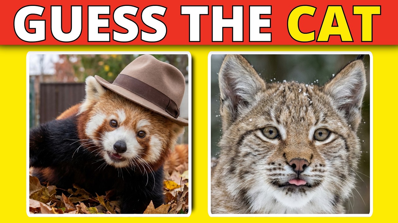 Guess the Animal | Weirdest to Most Adorable Cats?