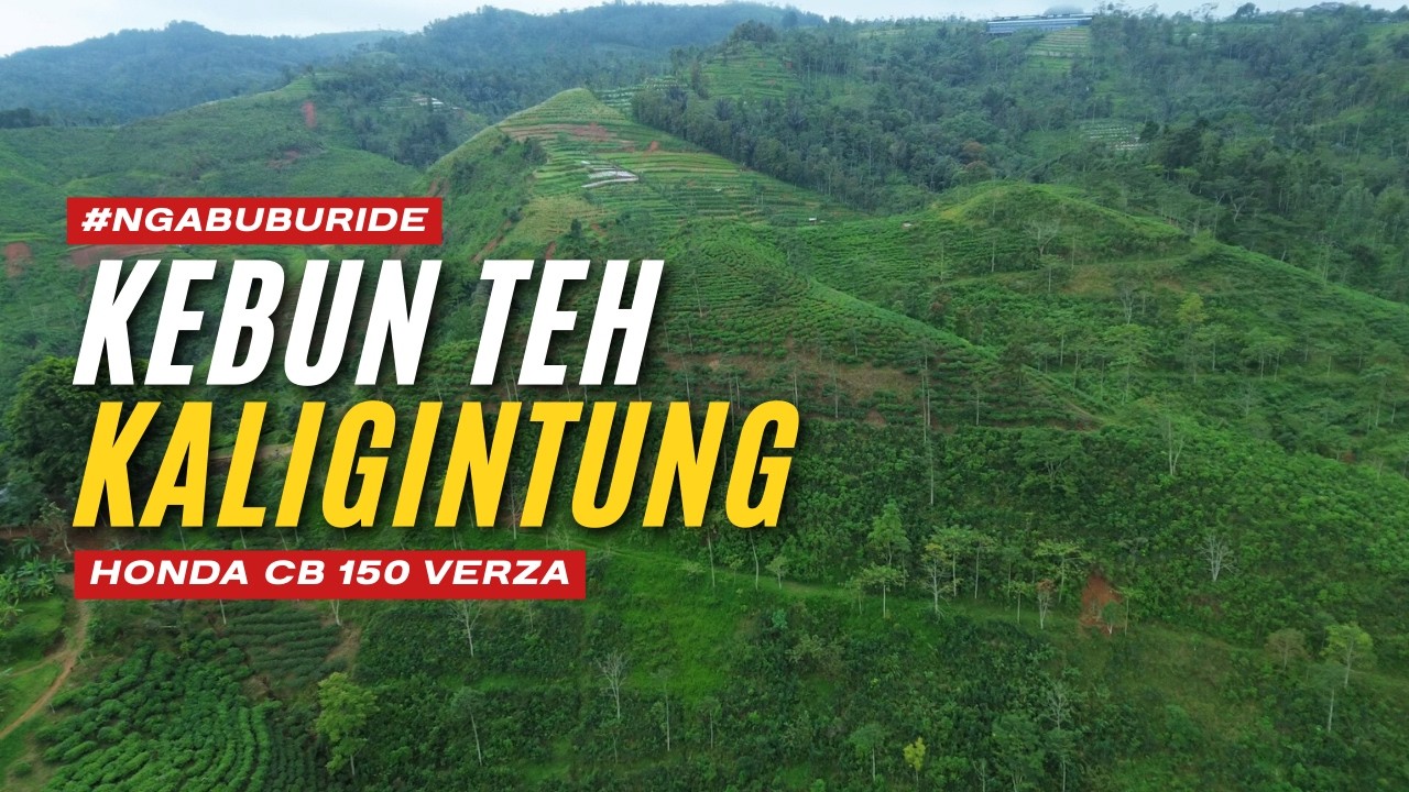 Kebun Teh Kaligintung | Kaloran - Temanggung | Honda CB 150 Verza