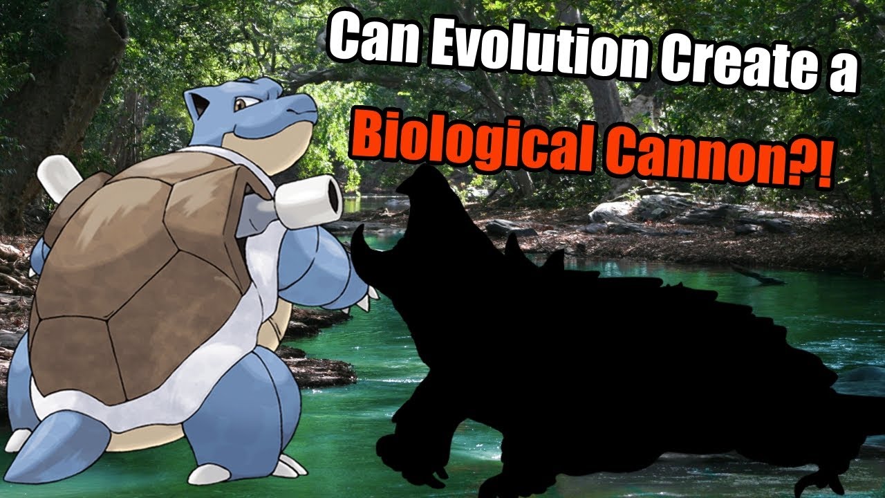 What if Blastoise was real? - Building a living Tank