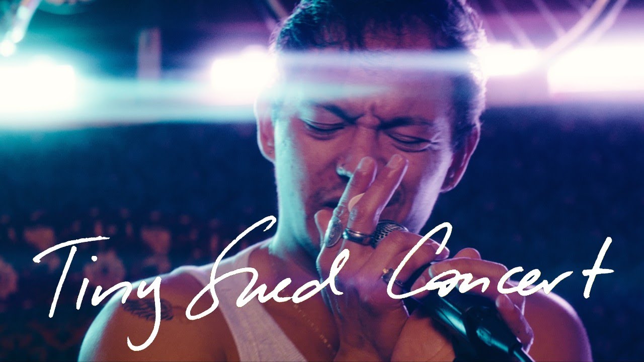 Shaun Finn: Tiny Shed Concert - 