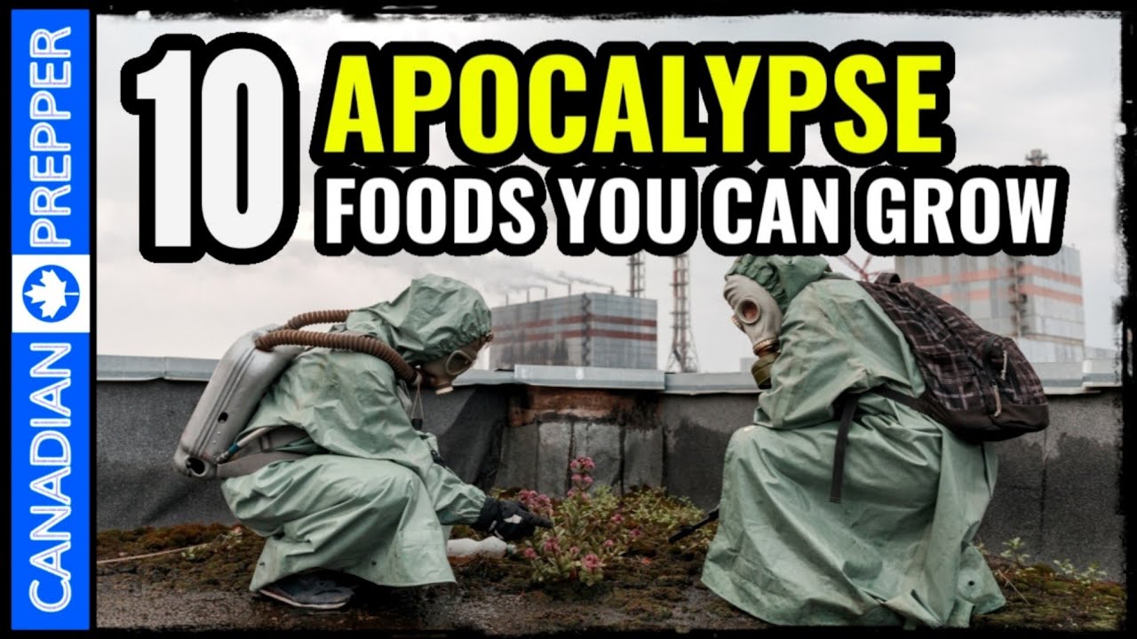 How to Grow Food for Survival