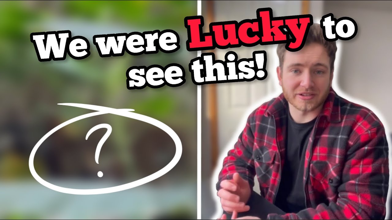 What’s at the UK’s Most Visited Zoo? (Chester Zoo Jan 2023)