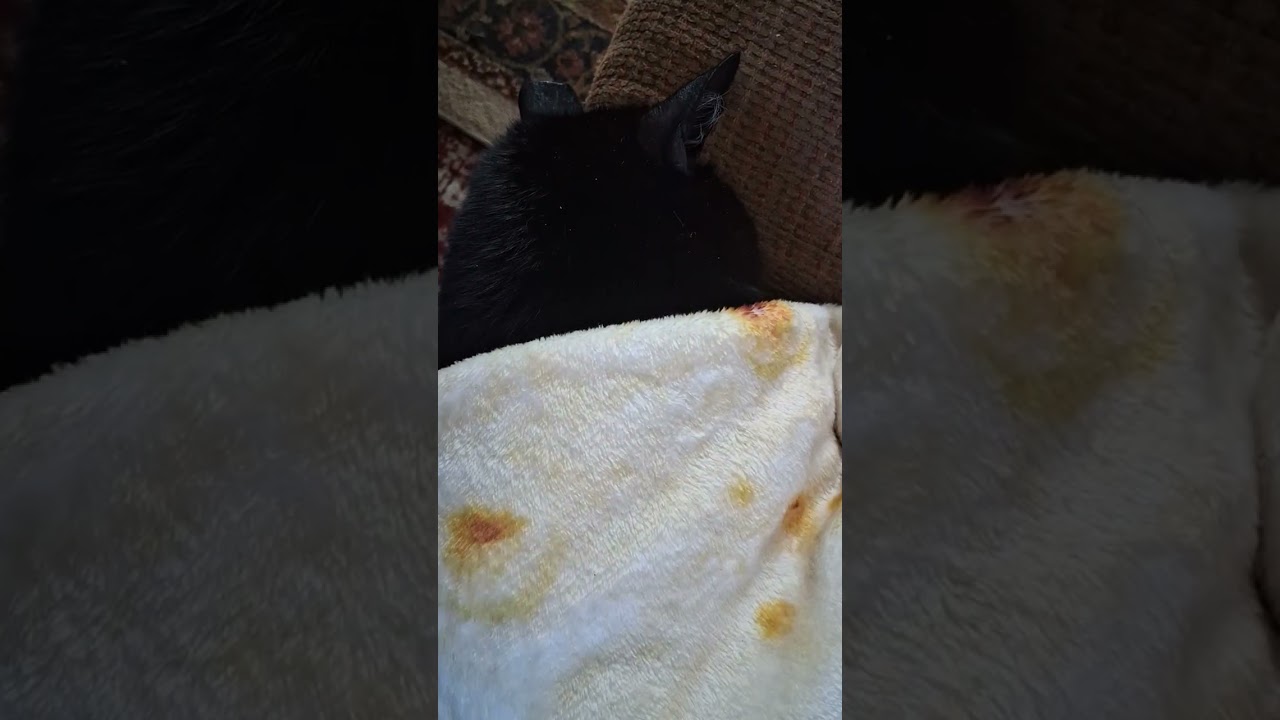 Stinky Burrito Finale [2k]