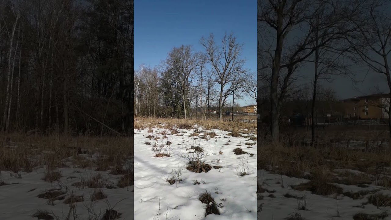 Mazury 2026-03-04 Ruciane-Nida, Nadleśnictwo Maskulińskie, las za ex ZPPiW, widok na ul. Krajeckiego