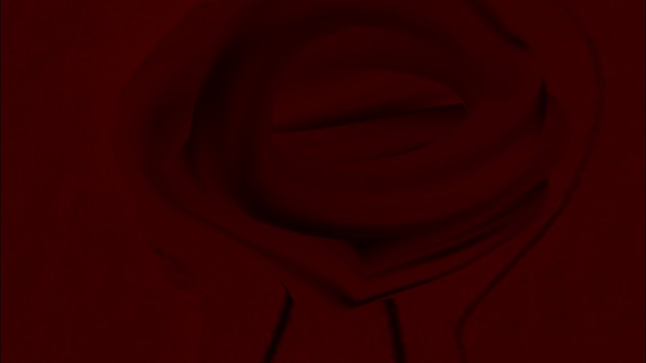 Verycoolantifurryvideo.mp4