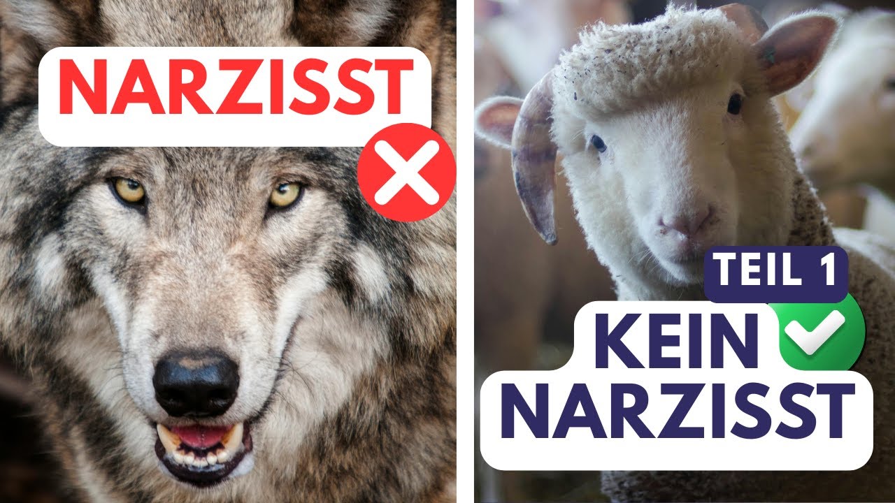 8 Formen des Narzissmus: So erkennst du sie – und wann es KEIN Narzissmus ist (Teil 1)