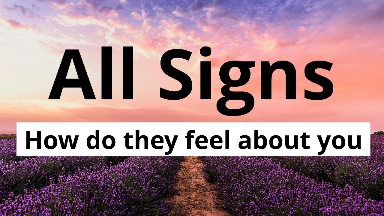 All Signs: How do they feel about you??