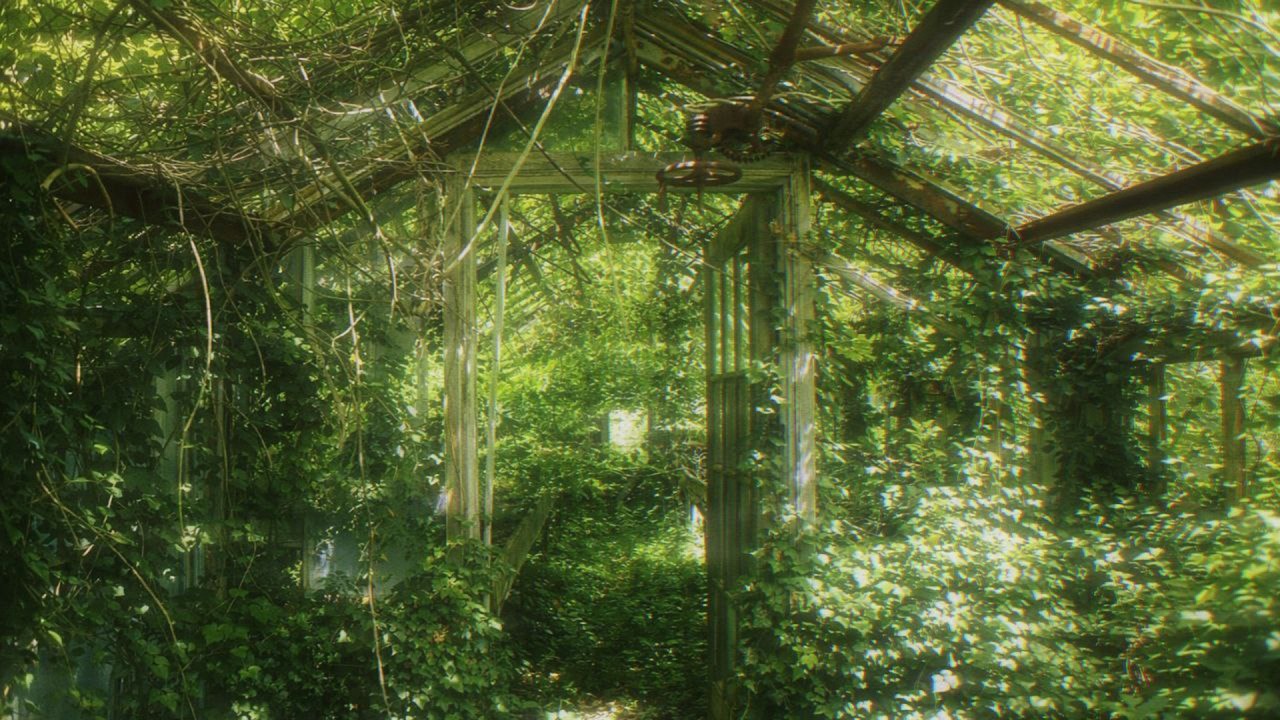 a comfort playlist for quiet morning🌱🫕