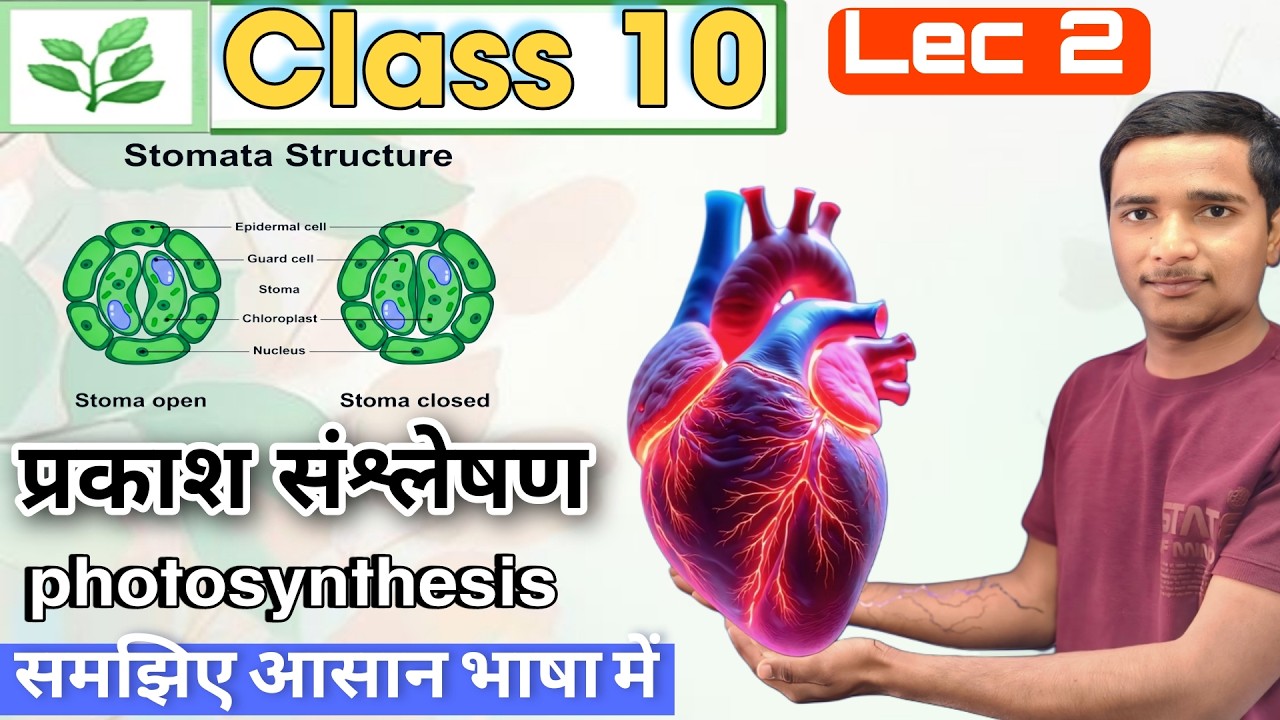 Photosynthesis Class 10 Biology | Life Processes Lecture 2 | NCERT Full Concept in Hindi #bio
