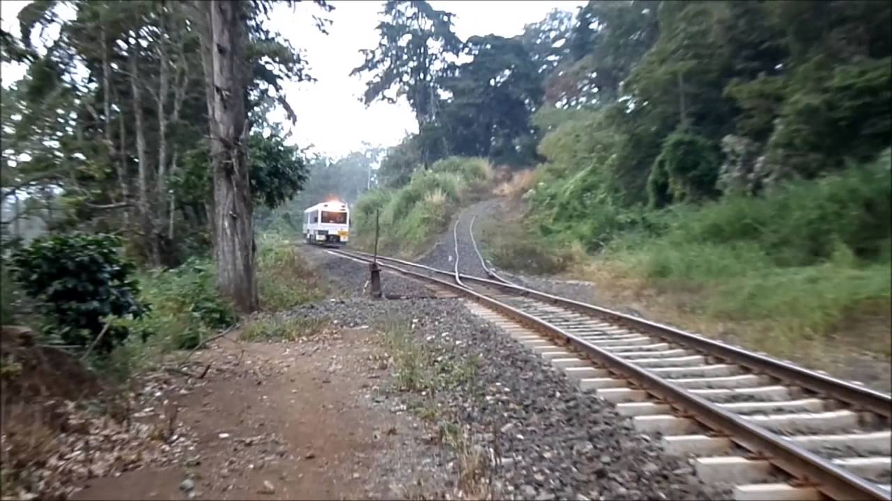 Tren a Cartago   Trenes de Pasajeros en la vía a Cartago en recorridos de ascenso y descenso