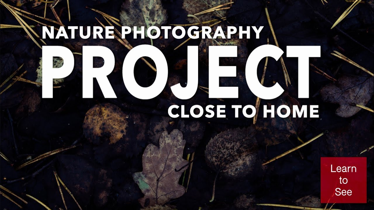 My new Nature Photography Project Close to Home