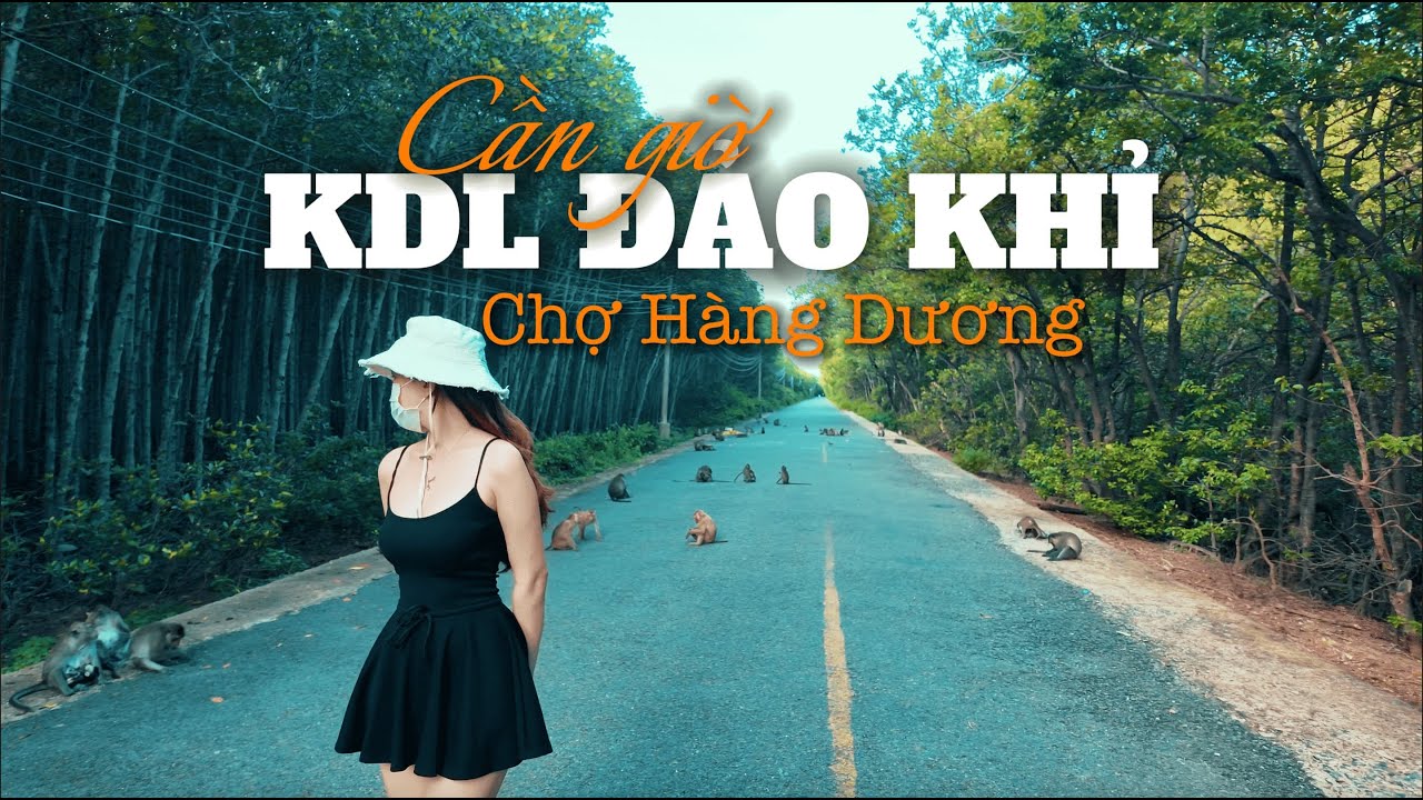 NƠI SINH SỐNG CỦA HƠN 2000 CHÚ KHỈ NGAY CẠNH SÀI GÒN - ĐẢO KHỈ CẦN GIỜ - CHỢ HẢI SẢN HÀNG DƯƠNG