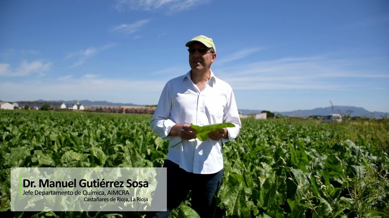 Control de cercospora en remolacha azucarera en La Rioja