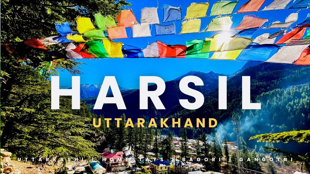 How to go HARSIL VALLEY | Harsil Valley Budget Trip Guide Under ₹5000 | #harsilvalley #budgettravel