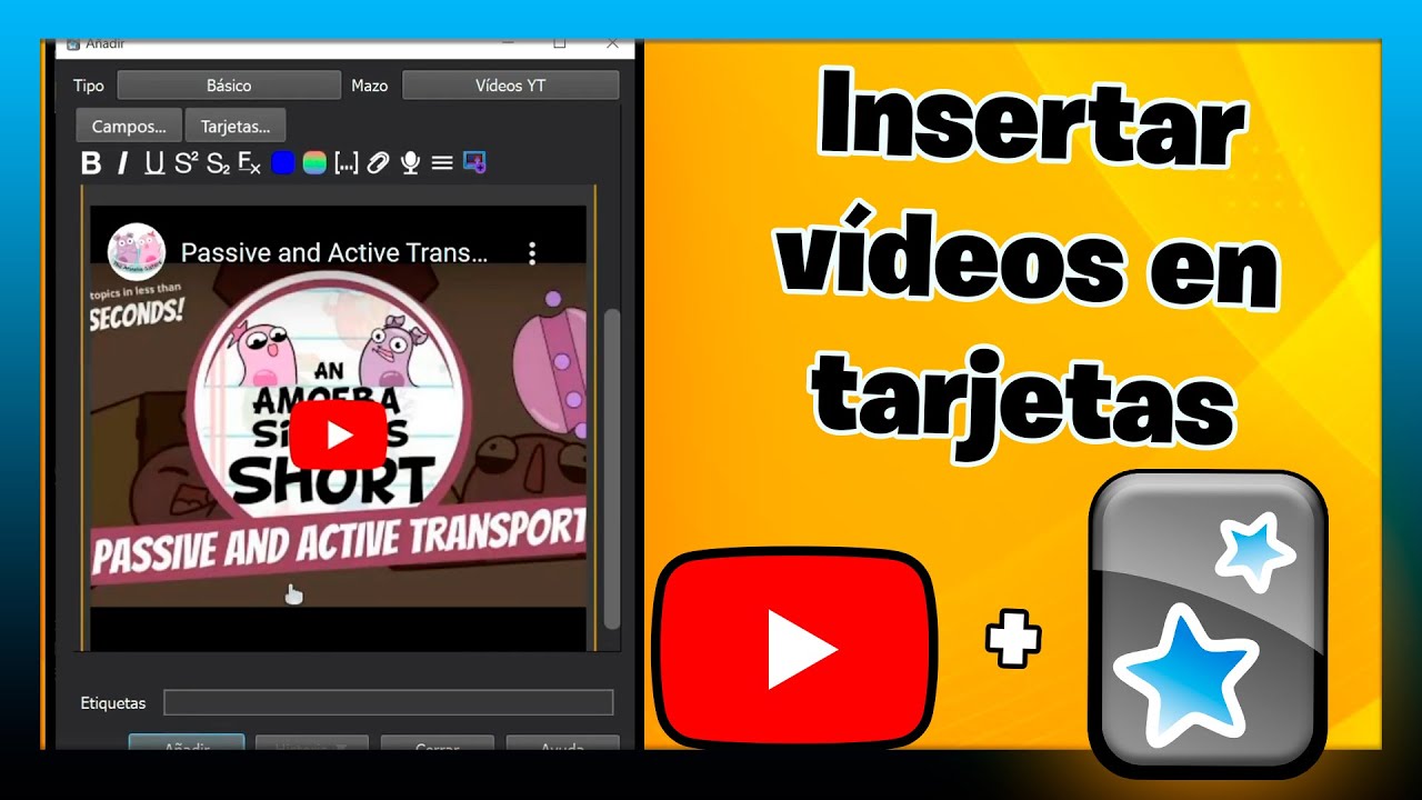 INSERTAR VÍDEOS de YOUTUBE en las TARJETAS de Anki
