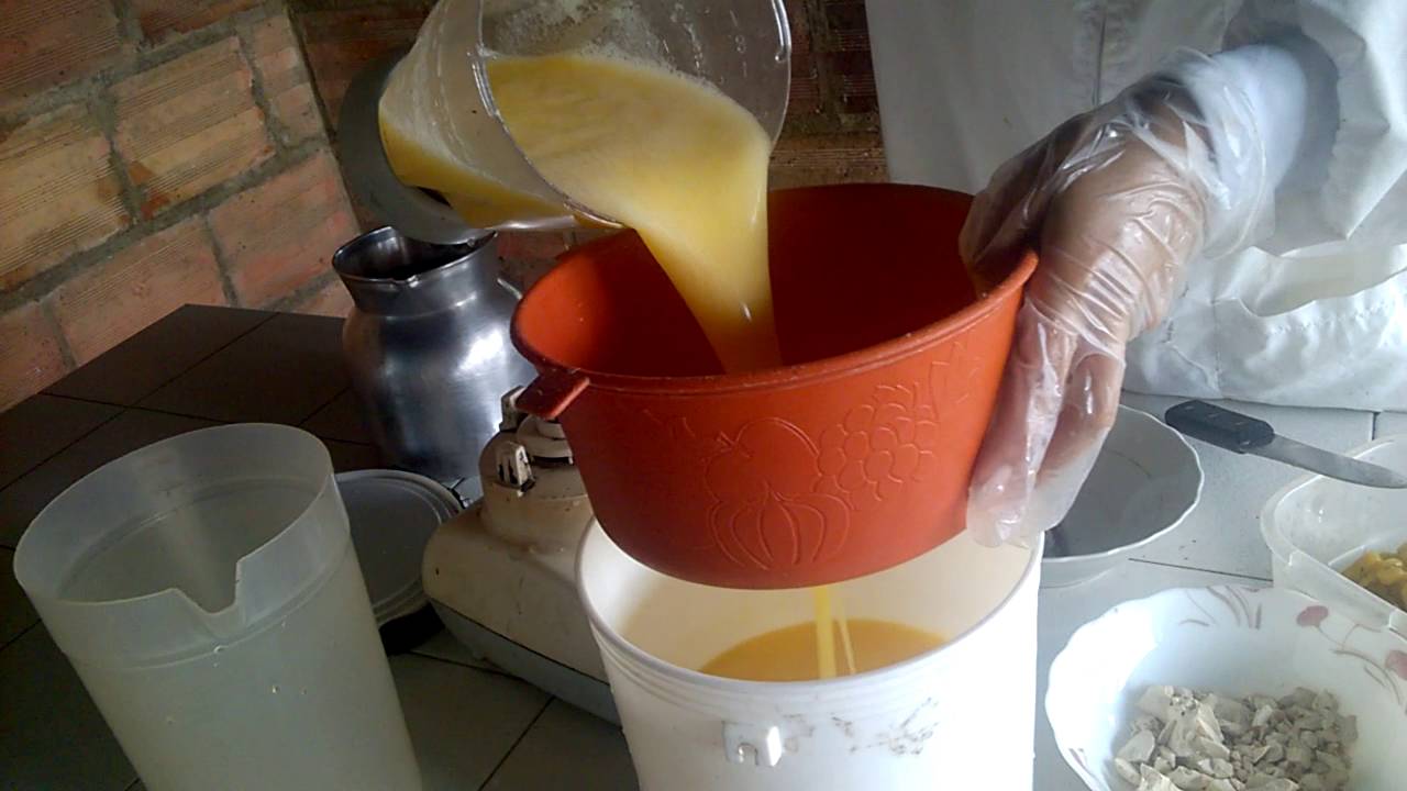Elaboración Vino De Guayaba Araza