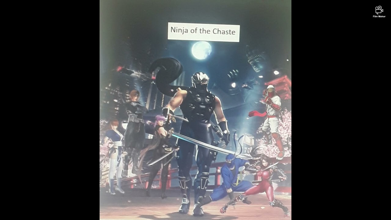 Fanfic Idea Ninja of the Chaste