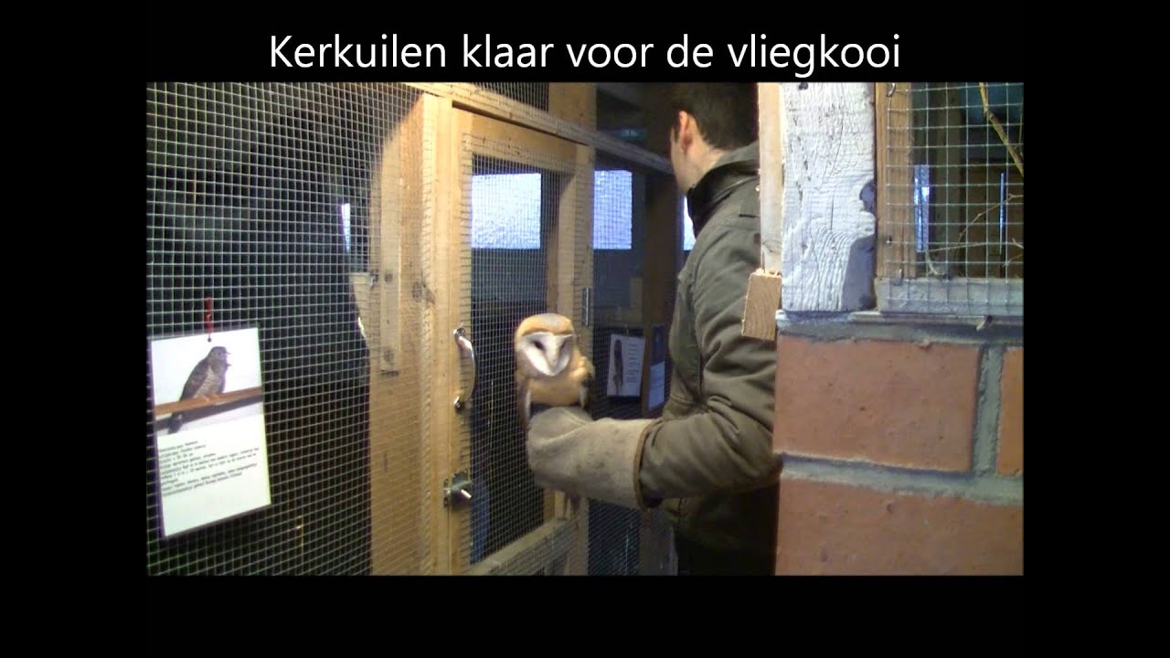 VOC Neteland : wat doen wij?