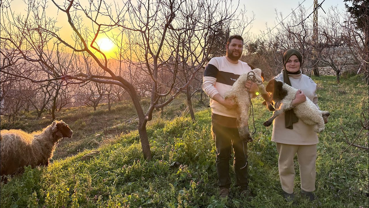 جولة في قرى عكار اللبنانية 🇱🇧وشراء قطيع أغنام 🐑من أكبر  بزار (سوق)للمواشي 🇱🇧