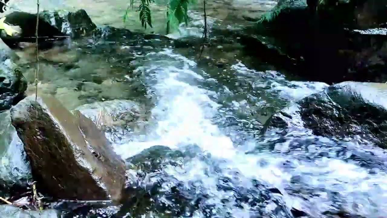 4 Simple Tricks to Instantly Improve Your SLEEP with Calming Nature Sounds