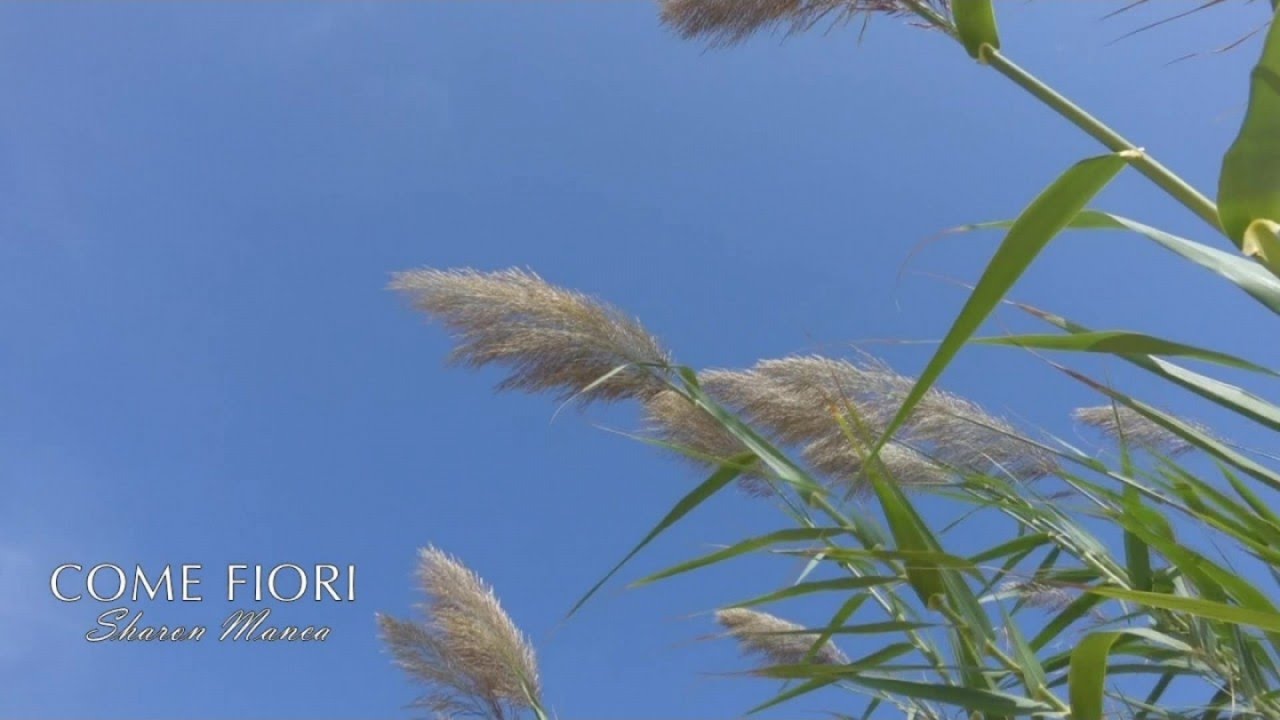 Sharon Manca - Come Fiori (Official video)