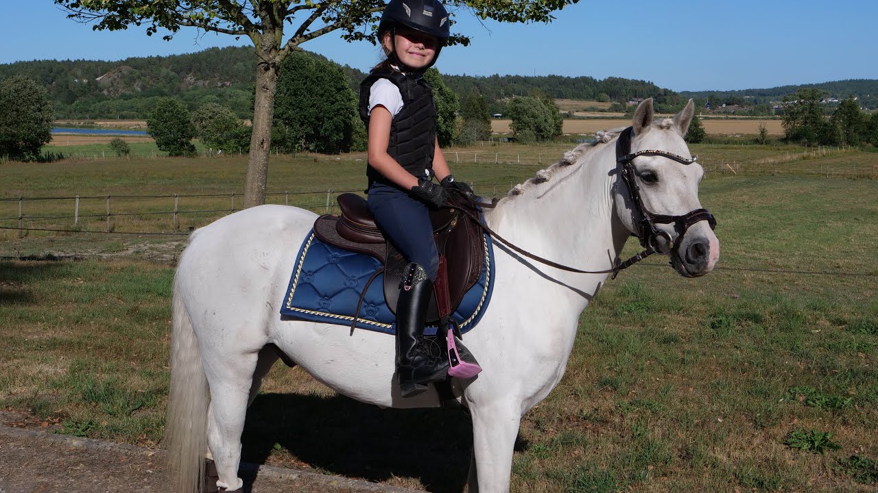 Hailey tränar dressyr & rider hela LC:1 😍