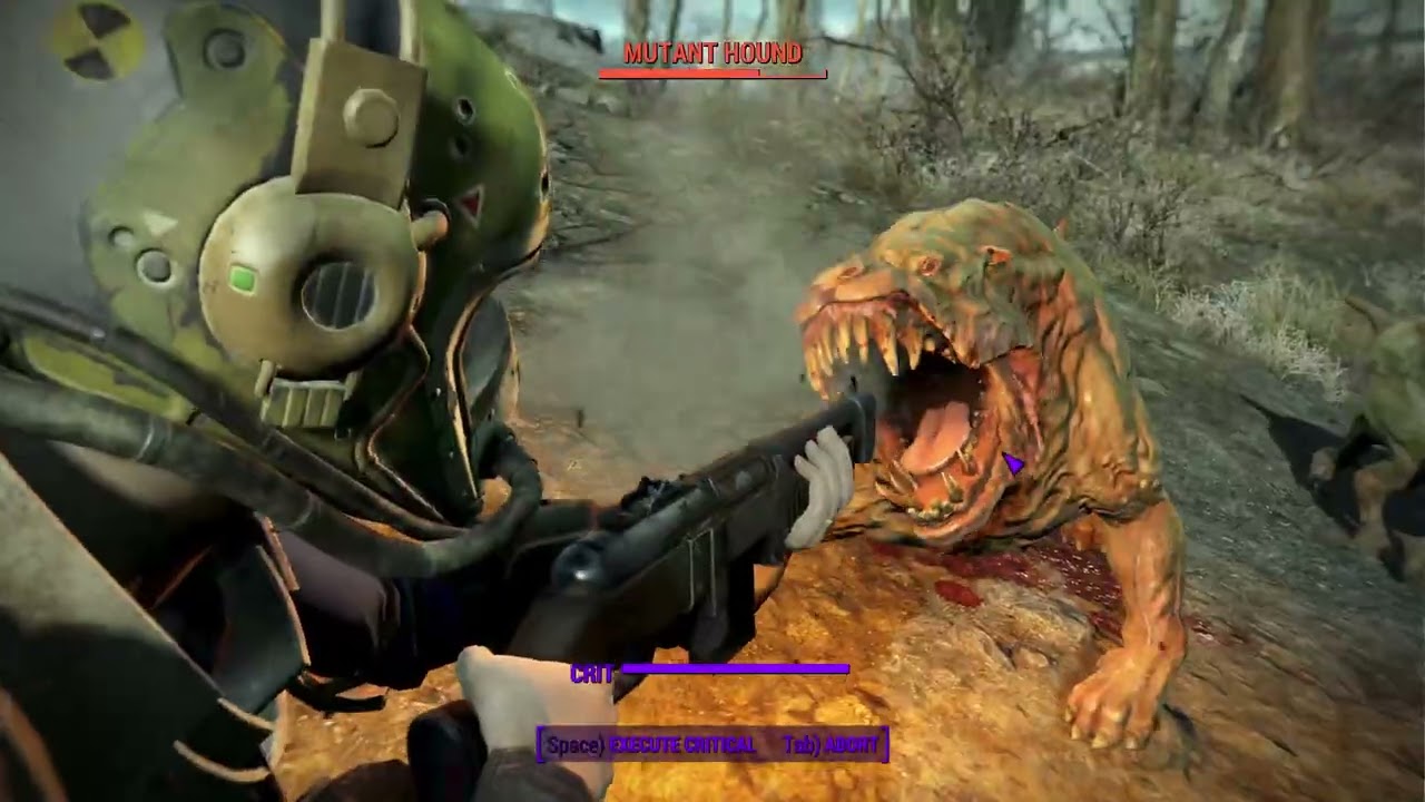 Late Night Surprise  Stream | Fallout 4