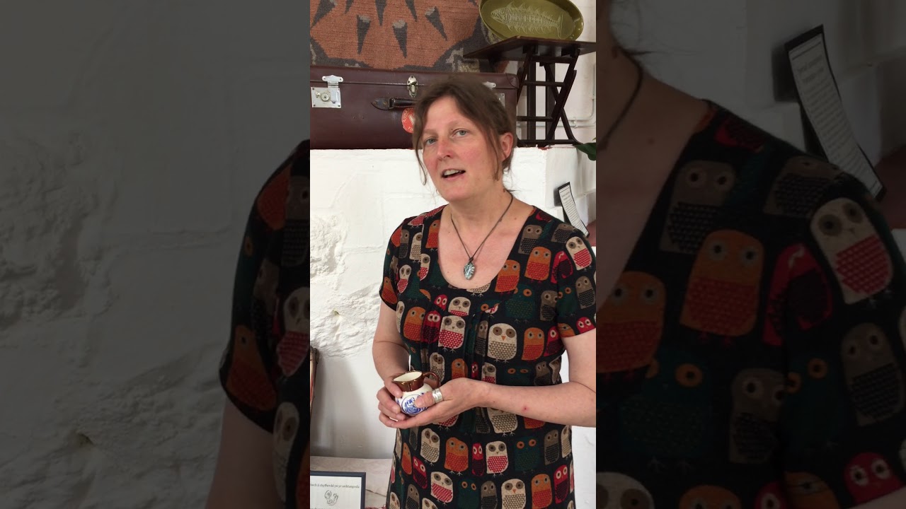 Susan Williams-Ellis centenary