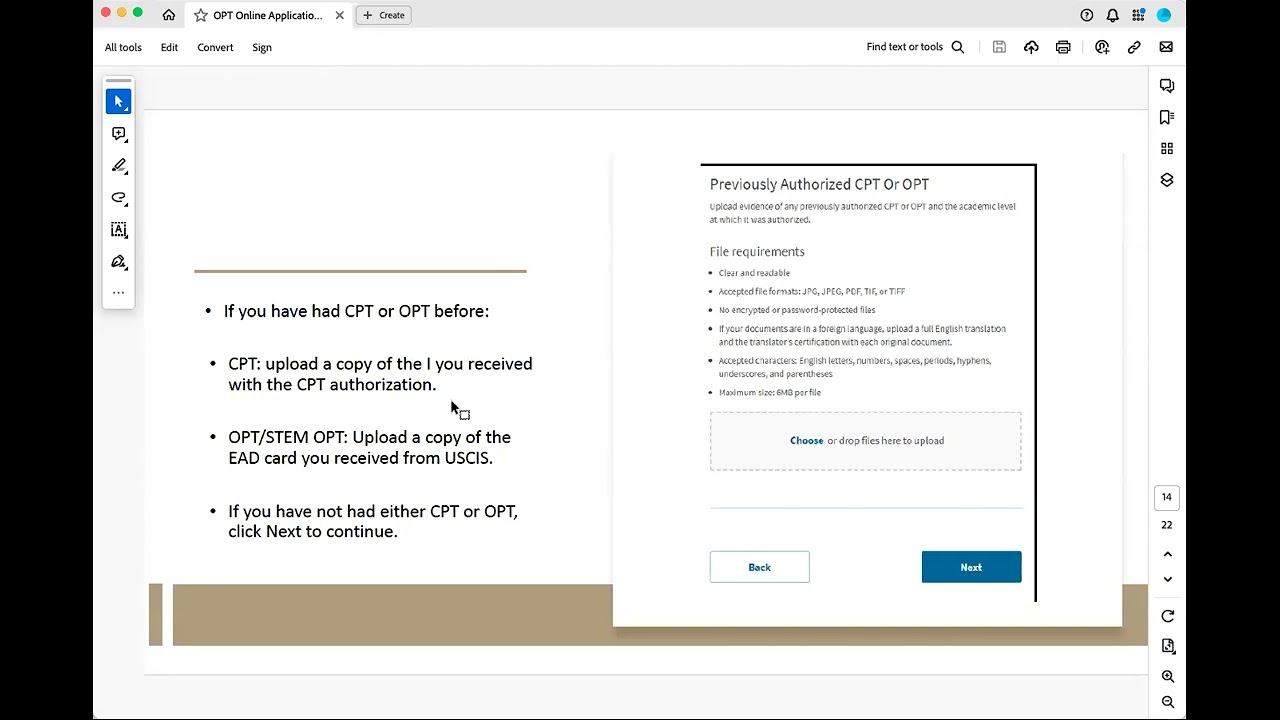 OPT Online Application Guide