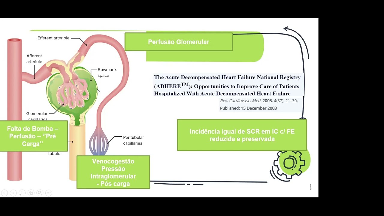 Síndrome cardiorrenal