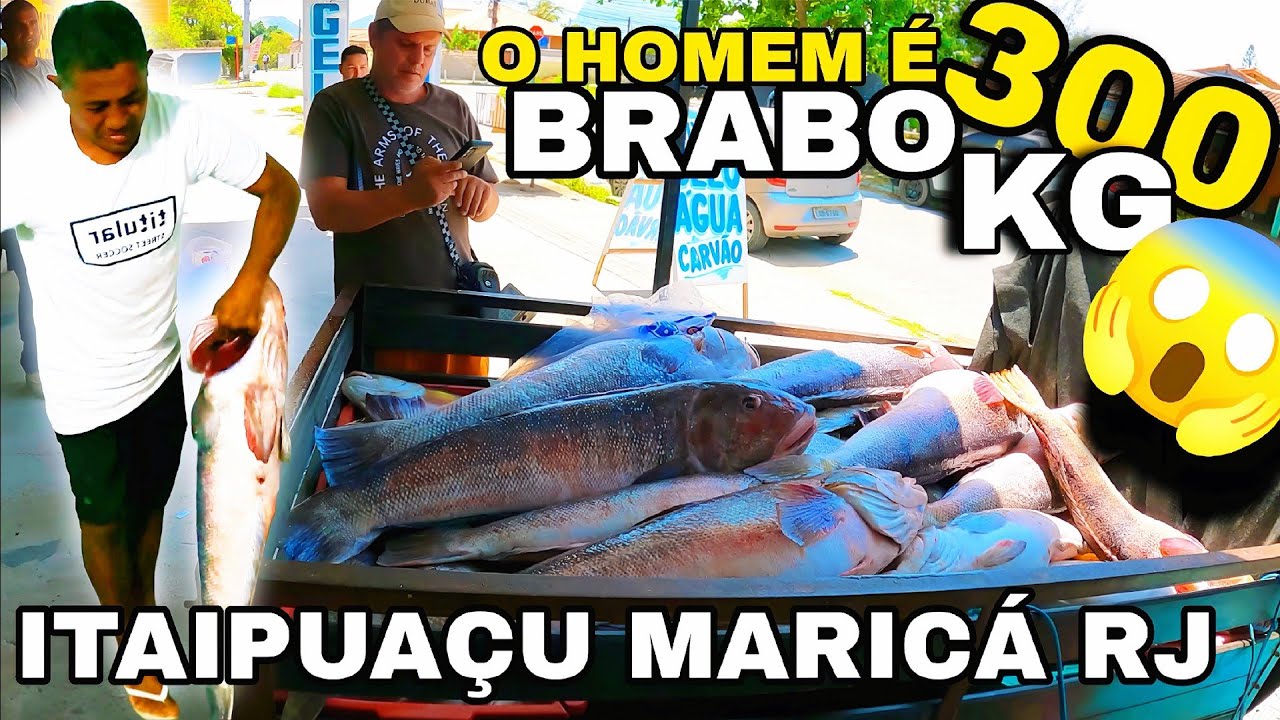 não vão acreditar no tamanho dos PEIXES NAMORADOS! 😱😱
