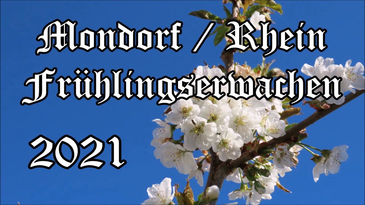 Mondorf  Frühlingserwachen 2021