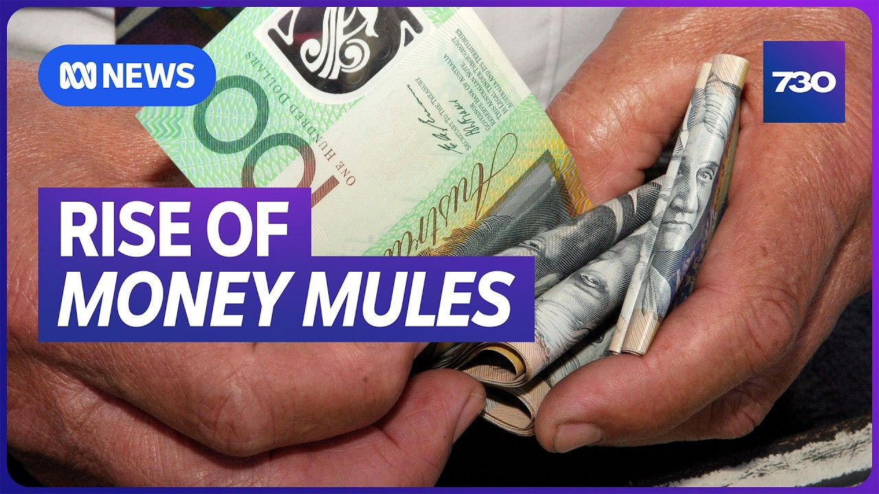 How a romance scam victim was unknowingly dragged into a money laundering scheme | 7.30