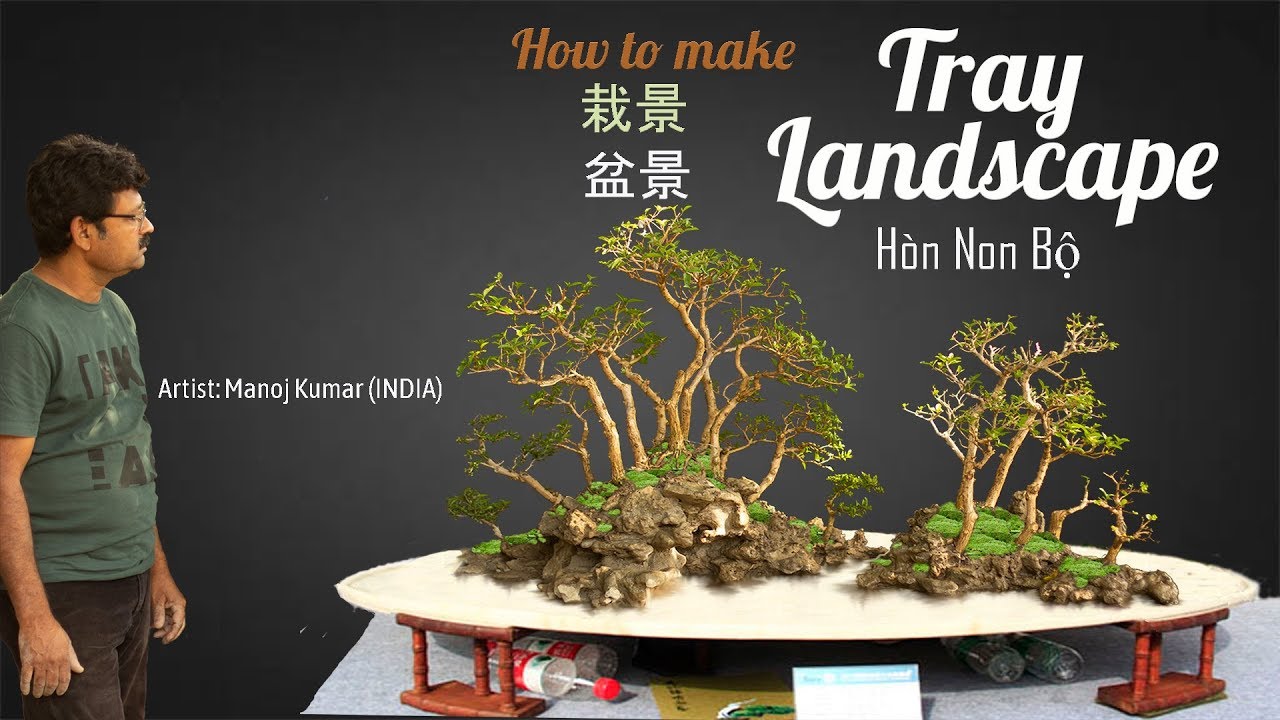 How to create Premna Tray Landscape Bonsai Penjing | 栽景 | 𡉕𡽫部 | 盆景 | Bonsai Master Manoj Kumar India