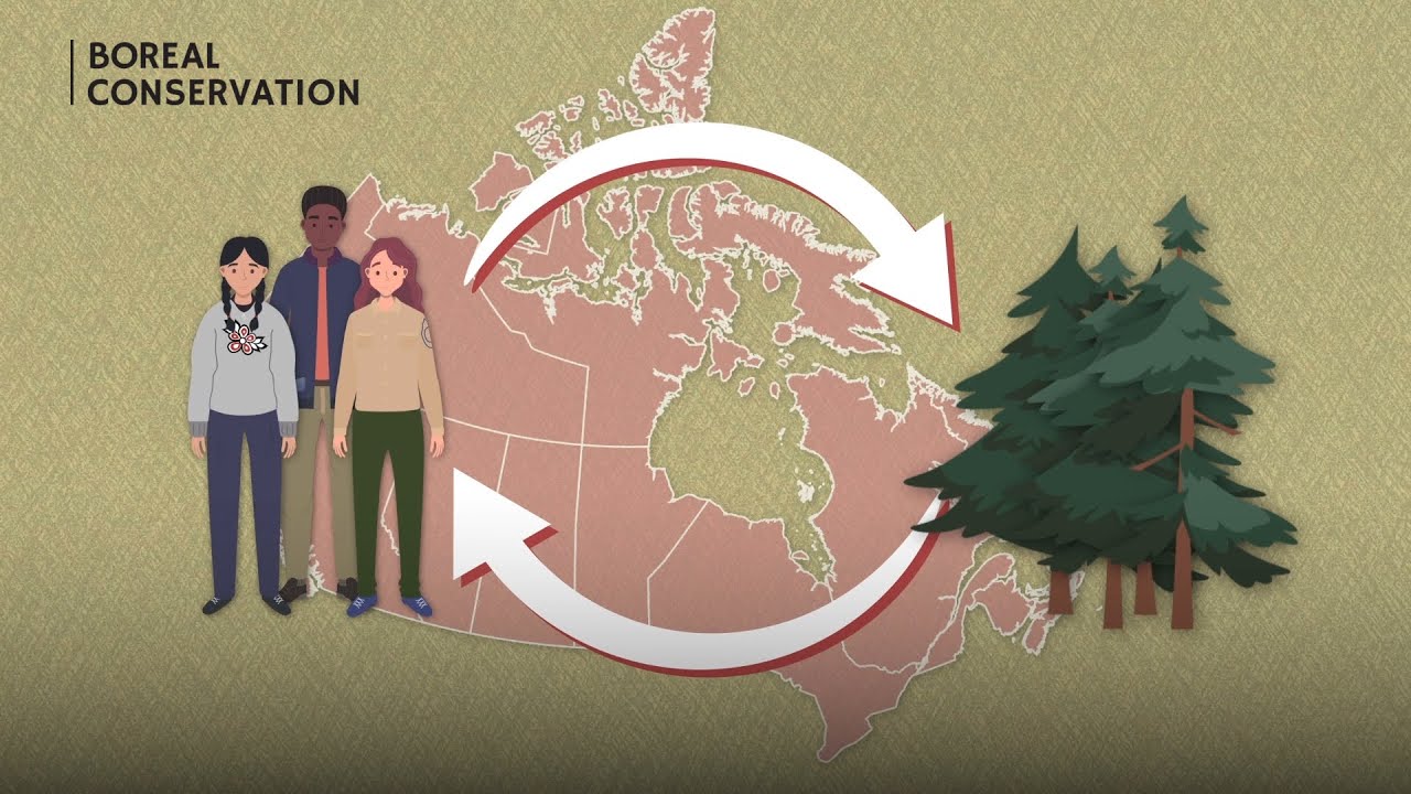 What are Nature-based Climate Solutions?