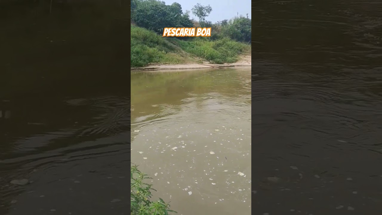 Pescaria🐟 #pescaria #amazonas #zonarural
