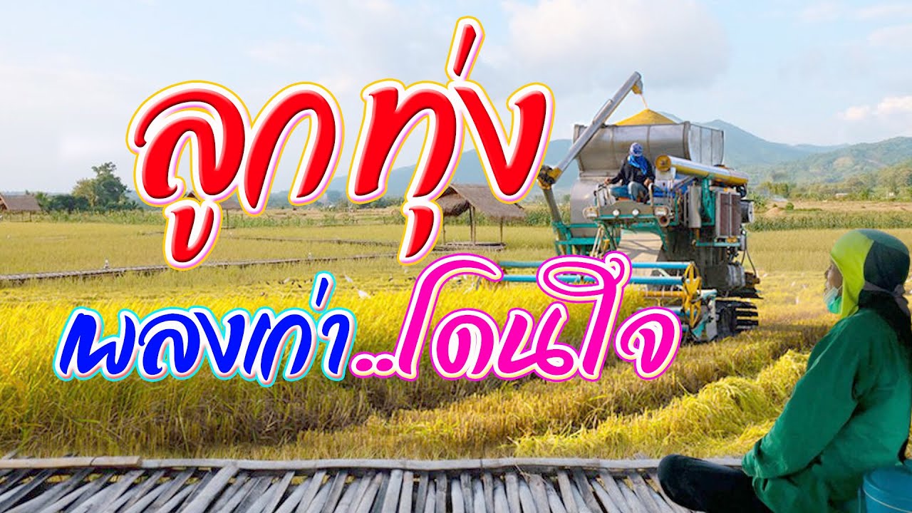 รวมเพลงลูกทุ่งเก่าเพราะโดนใจ
