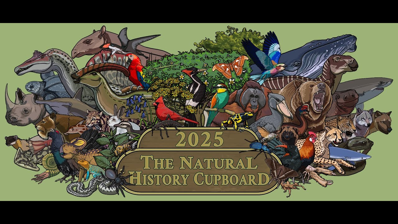 S5 E45 - New Year's Quiz 2025