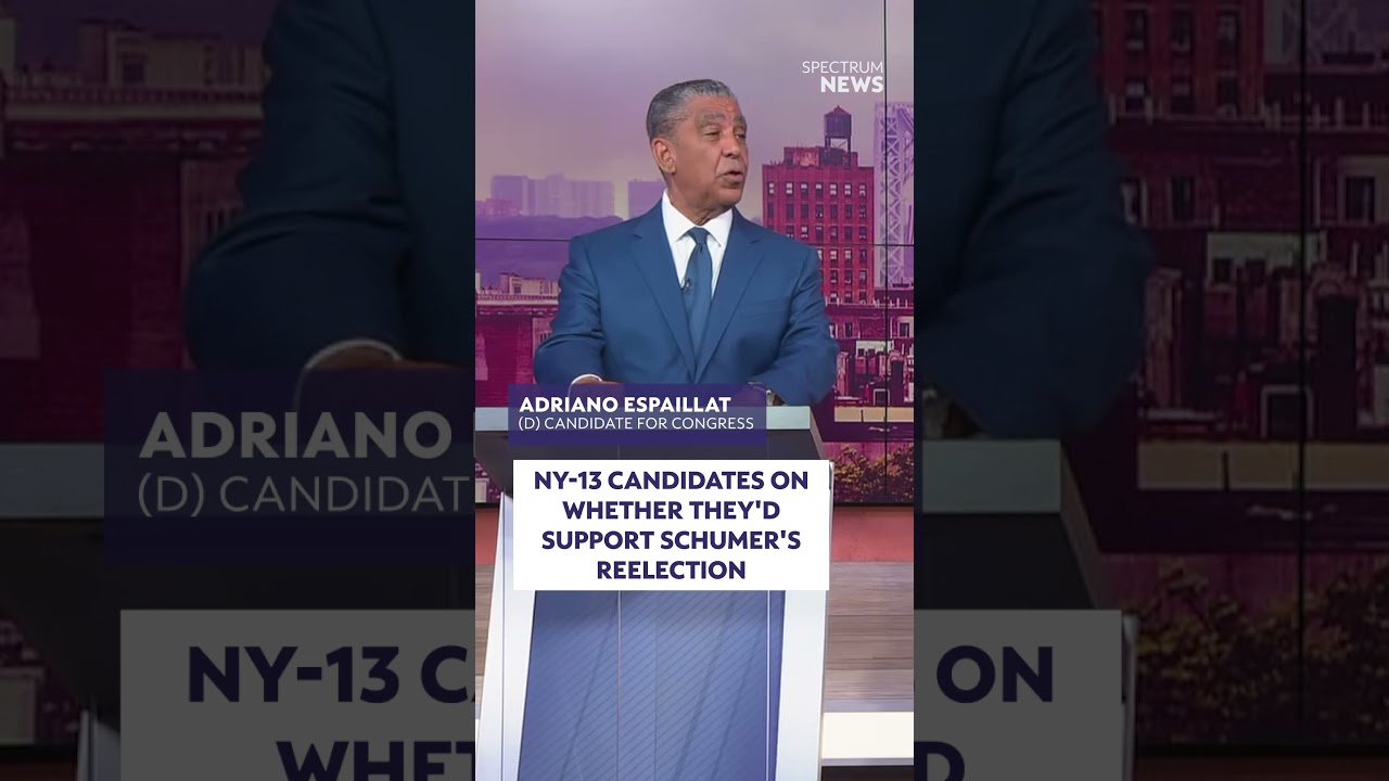 NY-13 candidates on whether they'd support Schumer's reelection