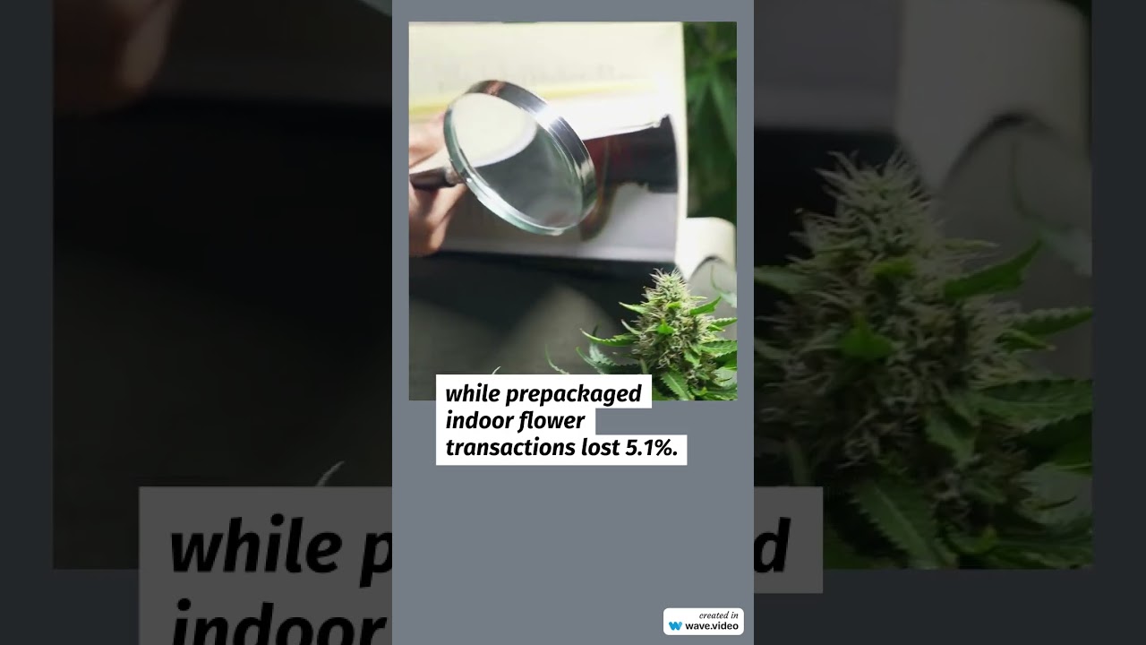 Cannabis Benchmarks US Spot Index Report - October 4, 2024 #marijuananews #cannabisdaily #investing