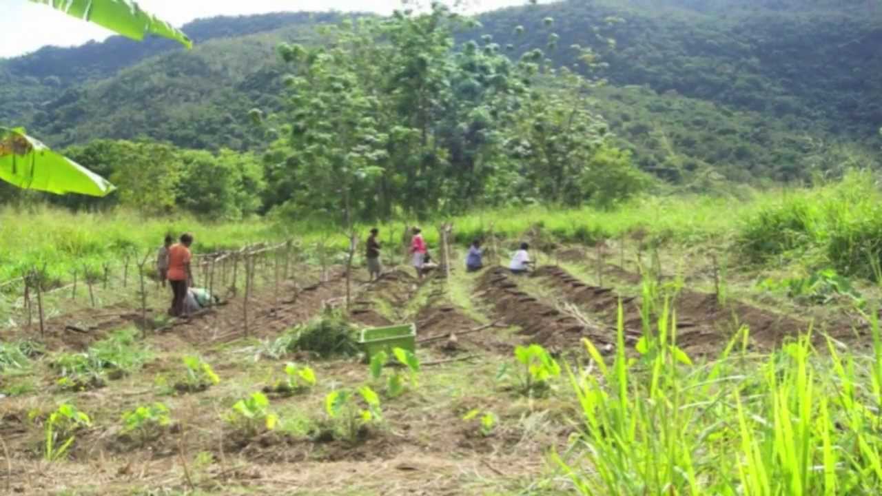 HURERE - Tok Kohya