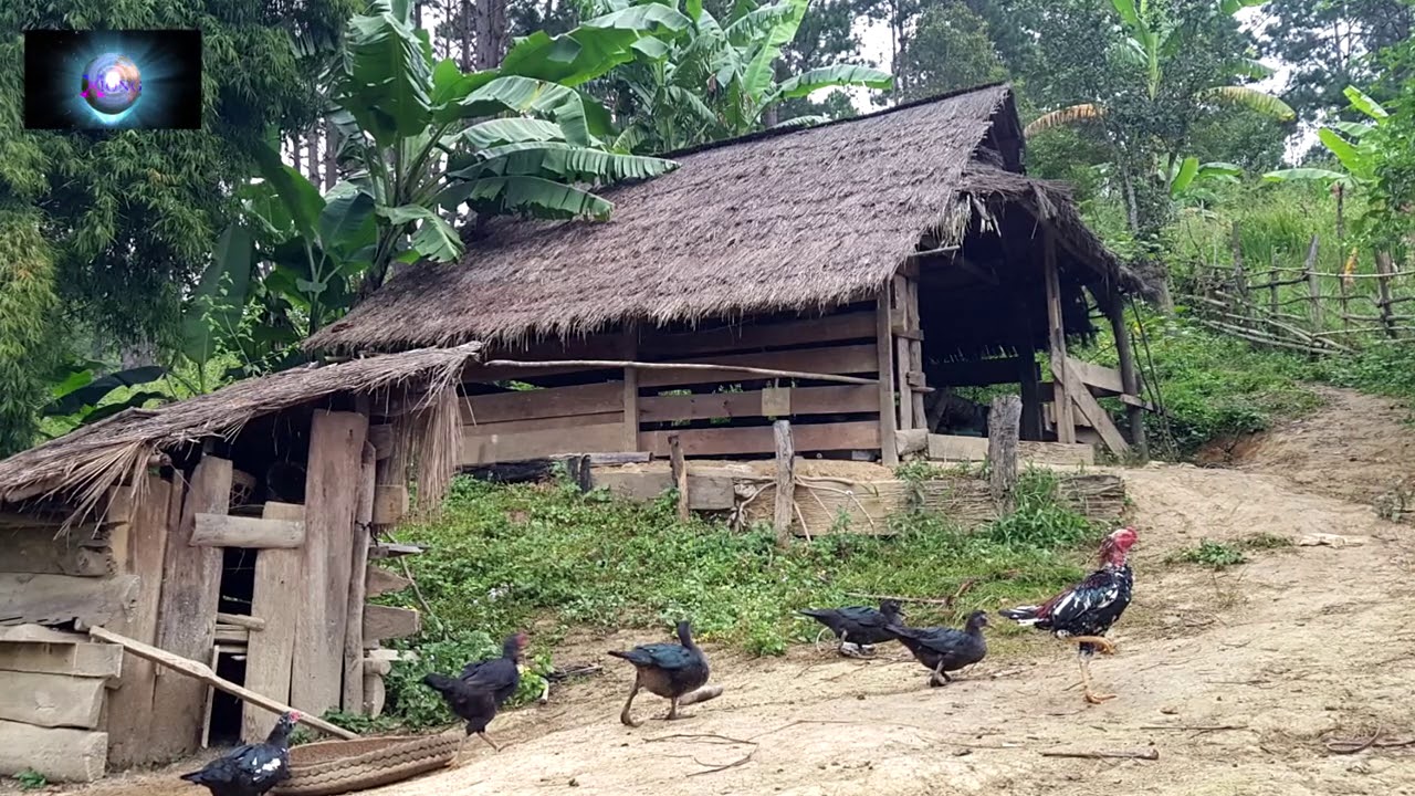 TSIS XYUAM XIM THIAJ RAUG NYAB LAJ TUA/11/19/20